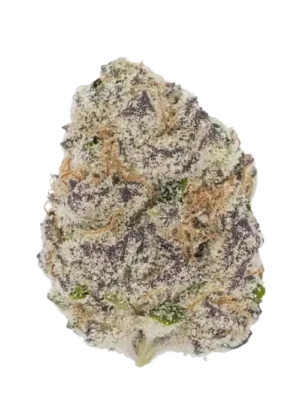6284-cherry-punch_700 Candy Boom-Premium-Hybrid-Cannabis